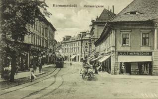 Nagyszeben Heltau street with the shop of Julius Wermescher