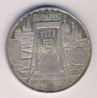 1973. "Pest-Buda-Óbuda" Ag emlékérem 25g T:exPP