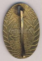 "Érdemes vasutas" zománcozott jelvény, egyik csat letört T:3+
