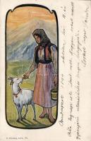 1899 s: Wilhelm Wachtel