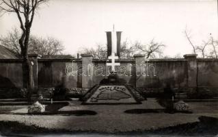 Veszprém irredenta díszsövény photo