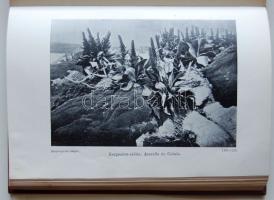 Magyar Földrajzi Társaság Könyvtára: Chun Károly - Mélytengerek világa i. kiadás, 73 képpel és 15 me...