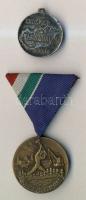 "Árvízvédelemért" Br érem szalaggal + "Érdemes Társadalmi Munkás" kitüntetés melltű hiányzik T:2