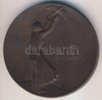 1895-1948. Eötvös József Collegium Br emlékérme T:2