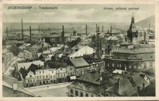 Krnov (Jägerndorf) with synagogue