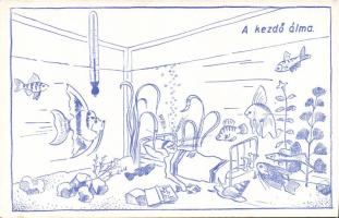 Dream of the beginner aquarist