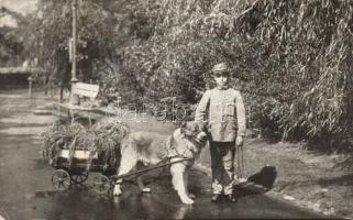 Budapest XIV. Állatkert - zöldségárus fiú (Rb)