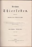 1884 Brehms Rovarrendszertani könyve német nyelven, rengeteg érdekes képpel