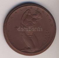 Németország/Weimari Köztársaság 1922. 100 + 300Studententaler "Labor Libertas" barna és fe...