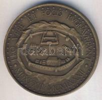 1982. "Magyar Éremgyűjtők Szombathelyi Csoportja - Kőszeg" Br emlékplakett T:1