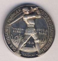 1914. Arthur Immanuel LÖWENTHAL: Tannenberg-Ortelsburg / Hindenburg emlékmedál Ag (18,1g) T:PP