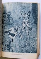 Széchenyi Zsigmond, gróf Năhar. Indiai vadásznapló. 1-2 kötet. Bp., 1940-1941. Vajna és Bokor. (ného...