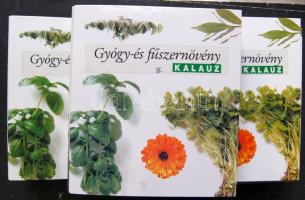 Gyógy- és fűszernövény Kalauz 3 kötetben rengeteg illusztrációval és képpel