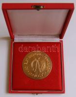 "Egy élet eredményes munkájáért" szocialista emlékplakett, eredeti dísztokban T:1-