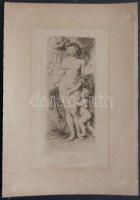 Rubens p. (?):Vénusz acélmetszet, 20x29 cm