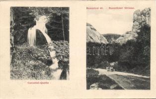 Stájerlakanina Bozovics road and the Coronini fountain