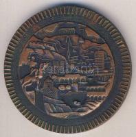 Azonosítatlan közép ázsiai bronz medál kulturális örökségek képeivel (138.2g) T:1-