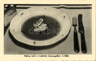 Miskolc híres ´békakocsonyája´