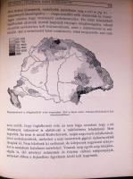 1936-1938 Prinz-Cholnoky-Teleki- Bartucz: Magyar faj, magyar föld I.-IV. kötete, mind kisebb hibákka...