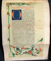 1896 Beöthy Zsolt: A magyar irodalom története, képes díszmunka 2 kötetben, aranyozott kiadói félbőr...