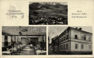 Puchberg am Schneeberg Hotel Schwarzer Adler (EK)