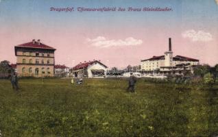 Pragersko the pottery manufacture of Franz Steinklauber (Rb)