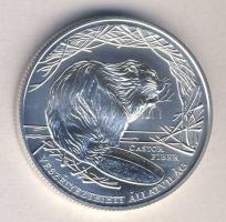 2000. 3000Ft Ag "Veszélyeztetett állatvilág-hód" T:BU Csak 3000db! Tanúsítvánnyal!