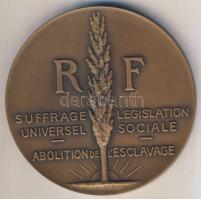 Franciaország 1848-1948. "RF - Általános választójog / Szociális jogszabályok" Br emlékpla...