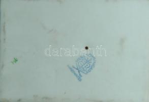 Herendi jelzéssel ellátott kézzel festett csizmás kandúr figura/Herend handpainted chinaware figure ...