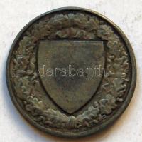 1869. "Budapesti (Budai) Torna Egylet-Botond"  fém emlékérem. Szign:Berán T:2-