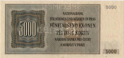 D.Reich/Cseh-Morva Protektorátus 1944 5000K "Specimen" lyukasztással T:I