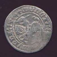 Lengyelország/Litván Nagyfejedelemség 16.század 1/2Gr Ag "Nagy Witold" T:VF Tanúsítvánnyal...