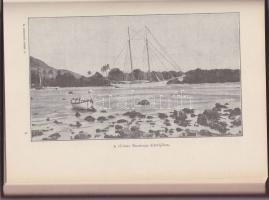 Magyar Földrajzi Társaság Könyvtára: gr. Festetich Rudolf: Emberevők között aranyozott kiadói egészv...