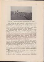 Posewitz A. Guidó: A Budaörsi reptér talajvízviszonyai sok képpel. Bp, 1936. Hydrológiai közlöny kül...