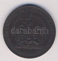 Hollandia DN "Prof. Dr. Karl Landsteiner-Holland Vöröskereszt" Br emlékérem T:2/3 / Nether...