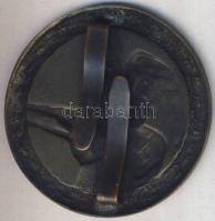 DN Lövész kitüntető jelvény szign.:Sződy T:2