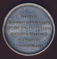 1854. "A szeplőtelen fogantatás hittétel dogmává emelése IX Pius pápa által" ffém emlékére...