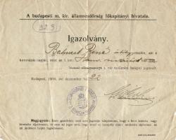 1916 Belépési igozolvány a Várba a Koronázás napjára