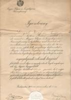 1904 Magyar Folyam, és Tengerhajózási Rt Nyugdíjintézete tagfelvételi igazolás