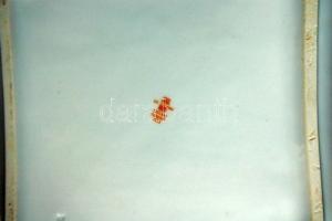 Virágmintás Zsolnay salátástál / Zsolnay chinaware 24x24 cm