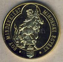 1997. Kecskemét "Bács-Kiskun Megyei Tűzoltószövetség" aranyozott ffém emlékérem T:PP/BU