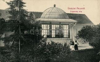 Pécel Zsigmondy villa