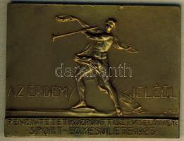 1923. "Az érdem jeléül" Pénzintézeti Központ Tisztviselőinek Sport Egyesületének bronz emlékplakettje T:2