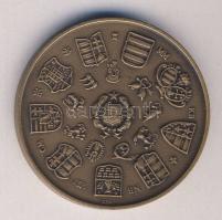 1979. "MÉE - I. István dénára" matt Br emlékérem T:1