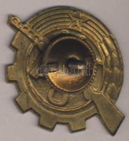 DN. Munkásőr jelvény csavaros kivitelben T:2