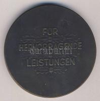 Németország / Berlin 1938. Nemzetközi Kézműves Kiállítás nagyalakú Br emlékplakett T:2