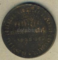 1935-1936. Budapesti Jogászok Verbőczy Bajtársi Egyesülete - Felvidéki Bercsényi törzsének érme T:3