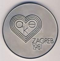 Horvátország / Zágráb 1981. Európai Atlétikai Kupa fém emlékplakett eredeti dísztokban! T:1-
