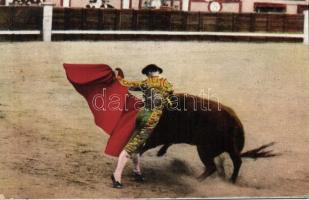 Bullfighting arena in Madrid, matador