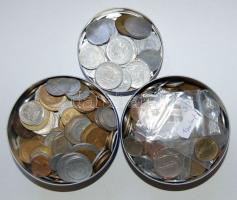 Tartalmas érme gyűjtemény, négy mappába rendezve, precízen katalogizálva, az elválasztólapokon felso...